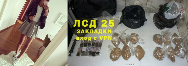 стаф Каменск-Шахтинский