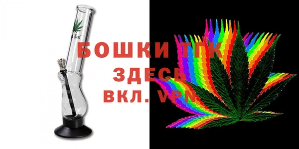 стаф Каменск-Шахтинский