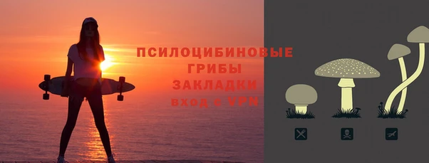 mdpv Инсар