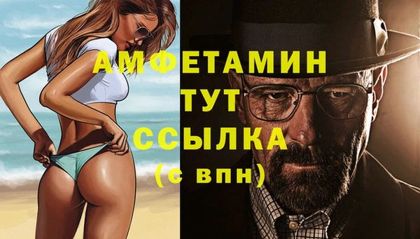mdpv Инсар