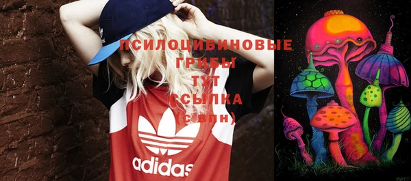 мет Инта