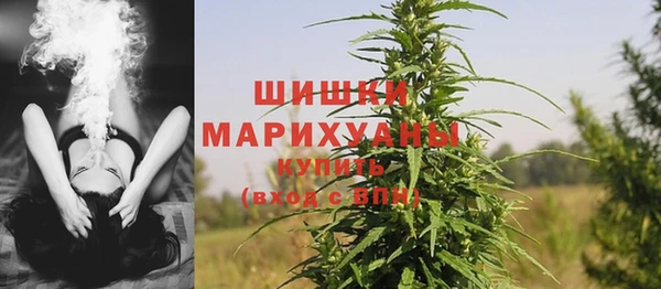 mdpv Инсар