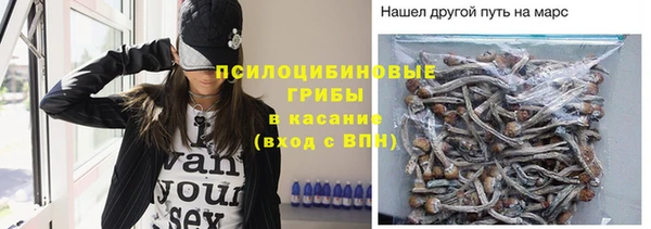 герыч Каменногорск